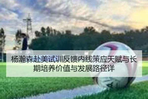 杨瀚森赴美试训反馈内线策应天赋与长期培养价值与发展路径详